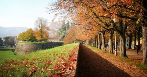 lucca-parco
